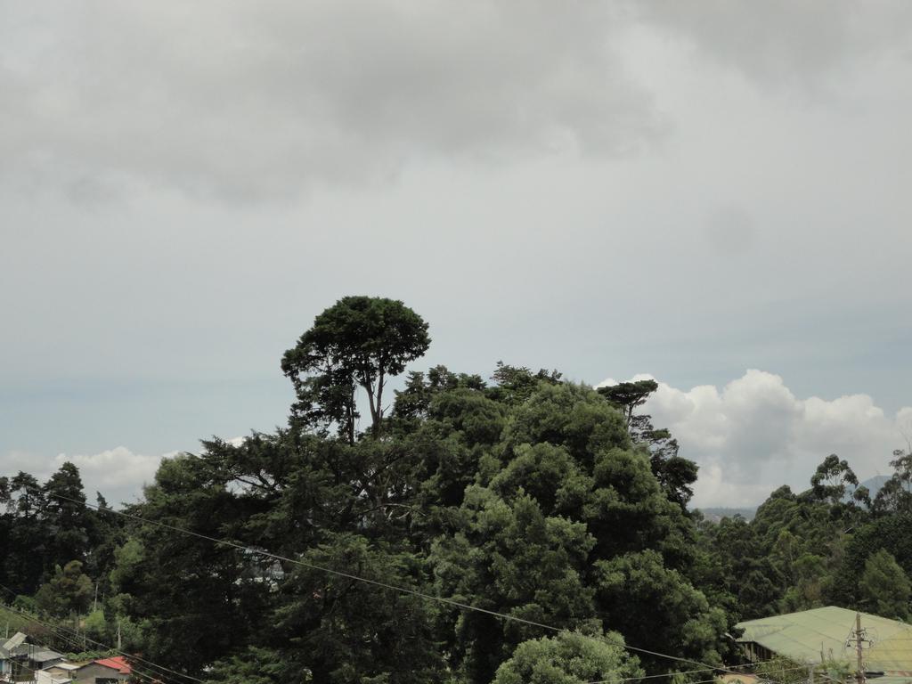 Srihelyes Inn Nuwara Eliya Bagian luar foto
